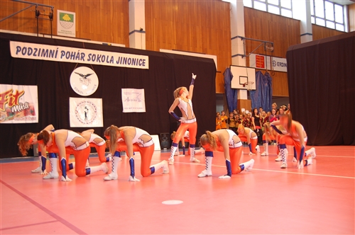 Obrázek v galerii