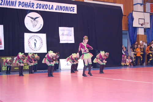 Obrázek v galerii