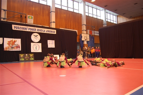 Obrázek v galerii