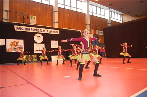 Obrázek v galerii