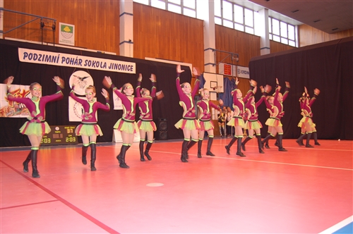 Obrázek v galerii