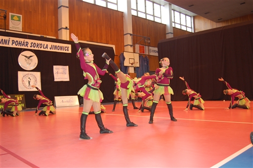 Obrázek v galerii