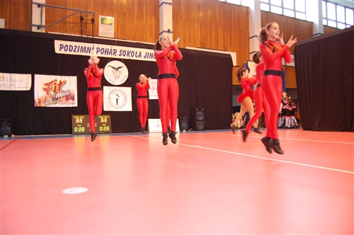 Obrázek v galerii