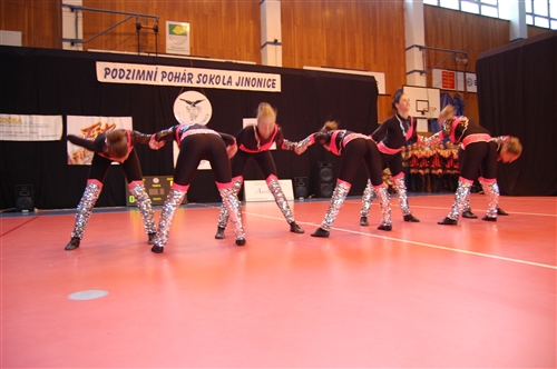 Obrázek v galerii