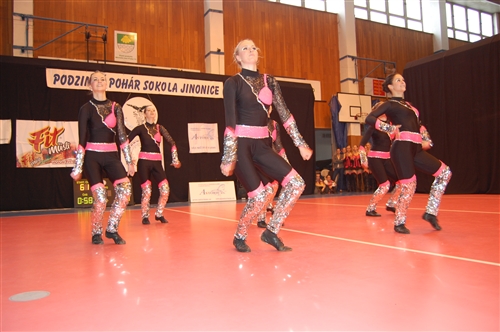 Obrázek v galerii