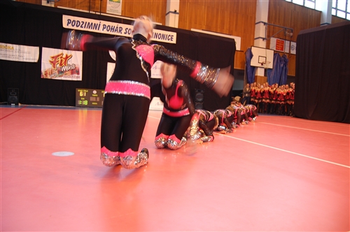 Obrázek v galerii