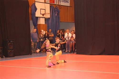 Obrázek v galerii