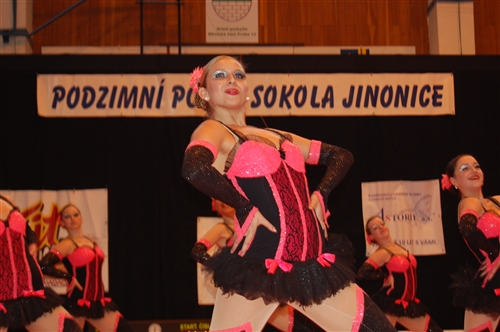 Obrázek v galerii