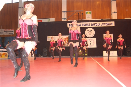 Obrázek v galerii