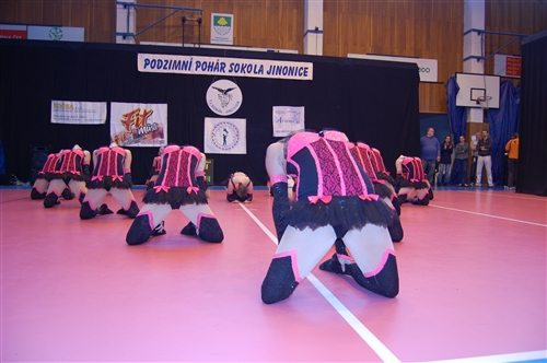 Obrázek v galerii