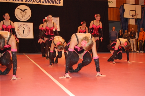 Obrázek v galerii