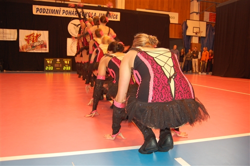 Obrázek v galerii