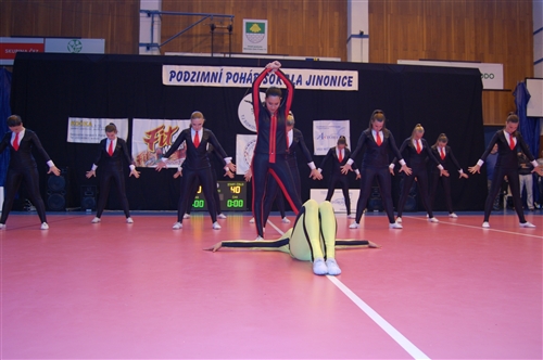 Obrázek v galerii