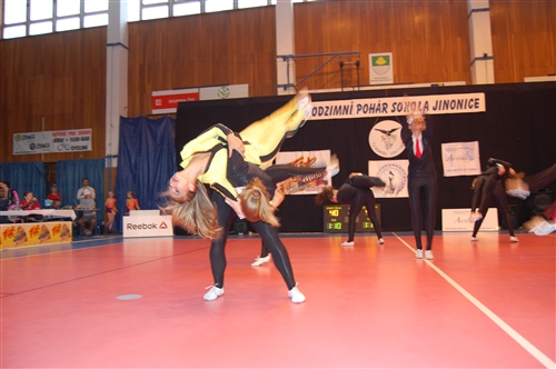 Obrázek v galerii