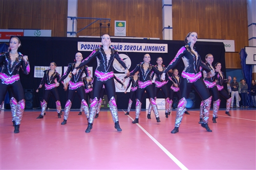 Obrázek v galerii