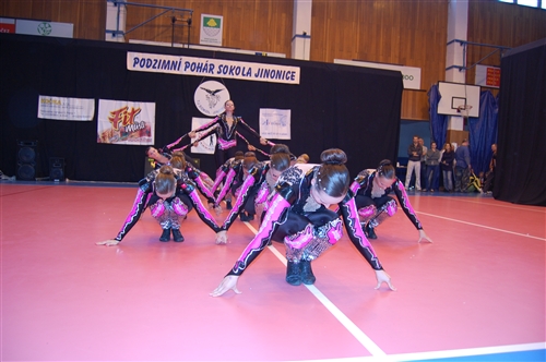 Obrázek v galerii