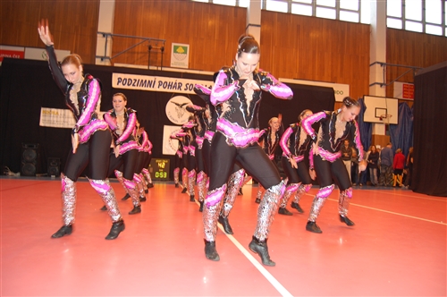 Obrázek v galerii