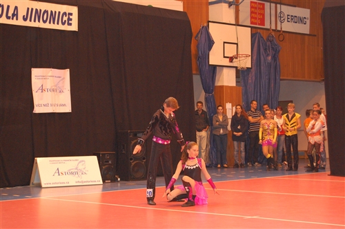 Obrázek v galerii