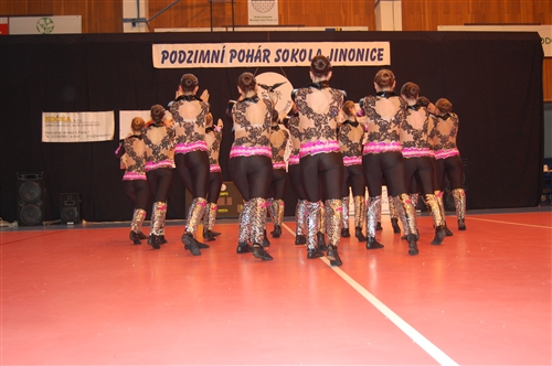 Obrázek v galerii