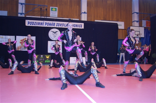 Obrázek v galerii