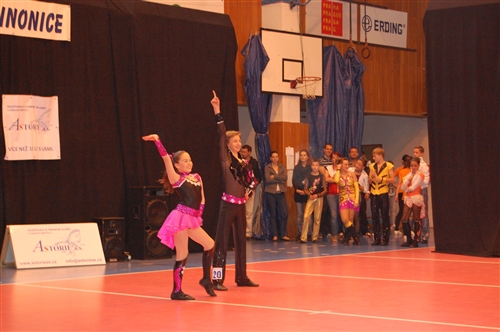 Obrázek v galerii