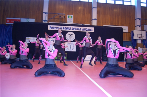 Obrázek v galerii