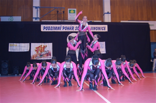 Obrázek v galerii