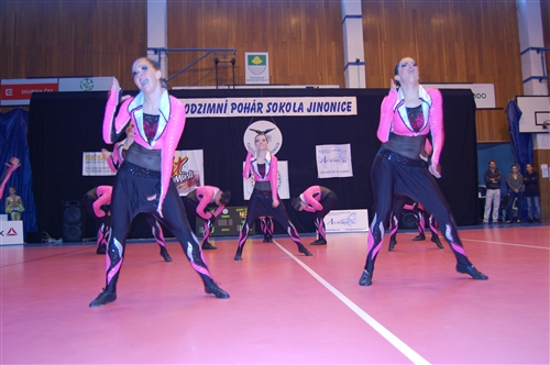 Obrázek v galerii