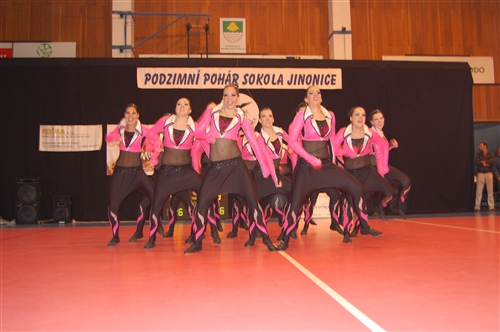 Obrázek v galerii