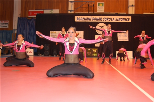 Obrázek v galerii