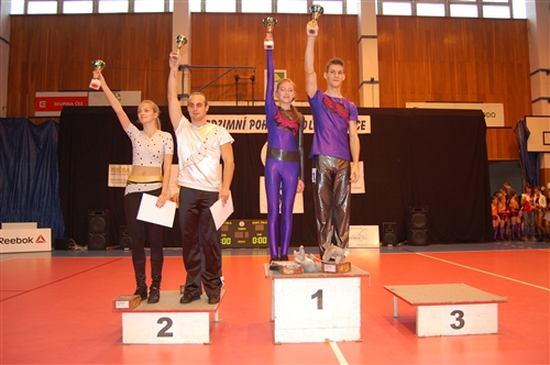 Obrázek v galerii