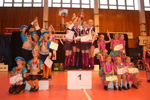 Obrázek v galerii