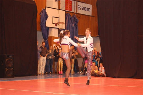 Obrázek v galerii