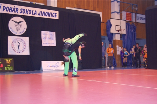 Obrázek v galerii
