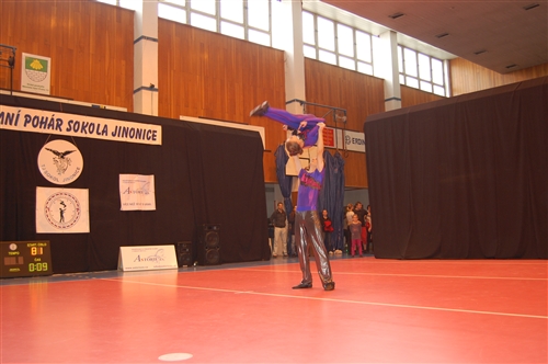 Obrázek v galerii