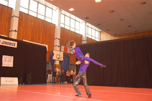 Obrázek v galerii