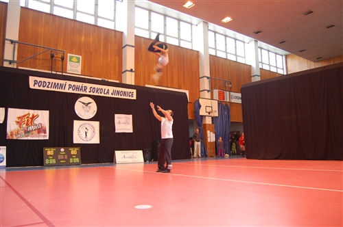 Obrázek v galerii