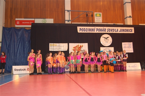 Obrázek v galerii