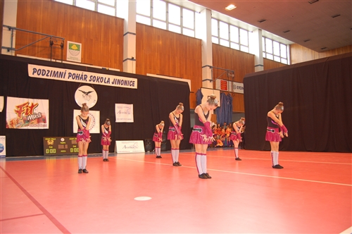 Obrázek v galerii