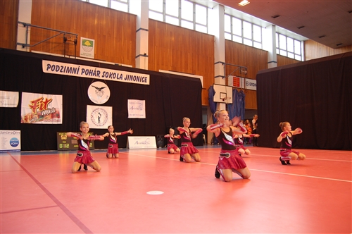 Obrázek v galerii