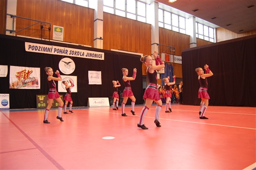 Obrázek v galerii