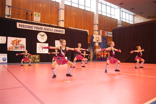 Obrázek v galerii