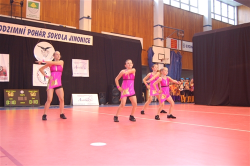 Obrázek v galerii