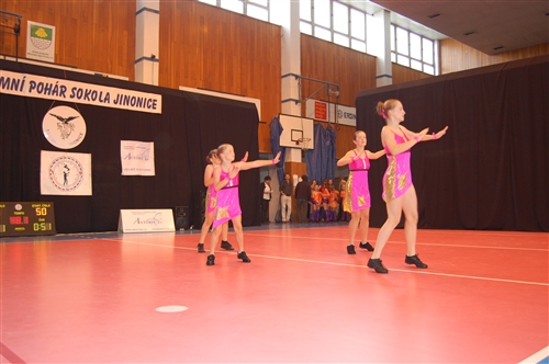 Obrázek v galerii