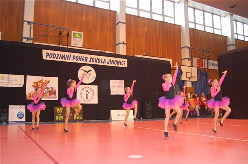Obrázek v galerii