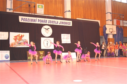 Obrázek v galerii