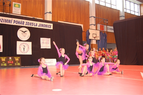 Obrázek v galerii
