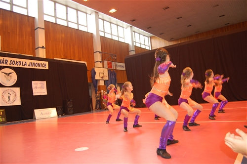 Obrázek v galerii