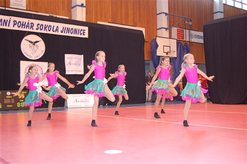 Obrázek v galerii