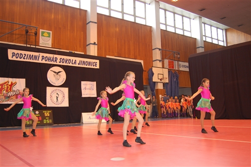 Obrázek v galerii